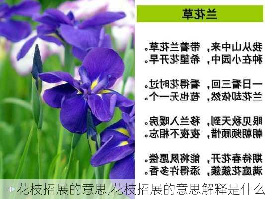 花枝招展的意思,花枝招展的意思解释是什么