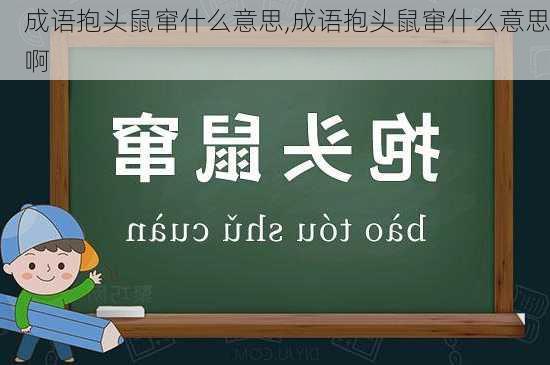 成语抱头鼠窜什么意思,成语抱头鼠窜什么意思啊