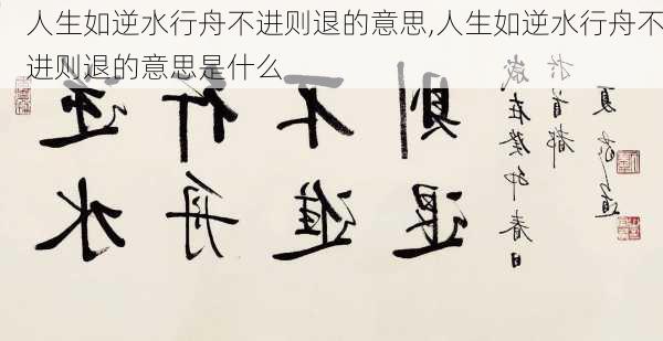 人生如逆水行舟不进则退的意思,人生如逆水行舟不进则退的意思是什么