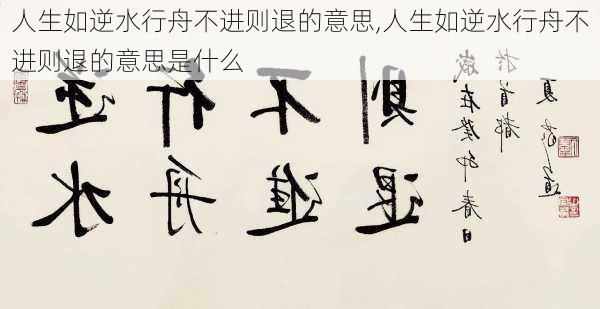 人生如逆水行舟不进则退的意思,人生如逆水行舟不进则退的意思是什么