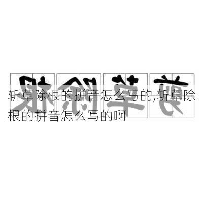 斩草除根的拼音怎么写的,斩草除根的拼音怎么写的啊