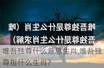 唯吾独尊什么意思生肖,唯吾独尊指什么生肖?