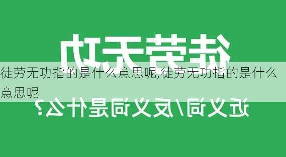 徒劳无功指的是什么意思呢,徒劳无功指的是什么意思呢