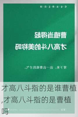 才高八斗指的是谁曹植,才高八斗指的是曹植吗