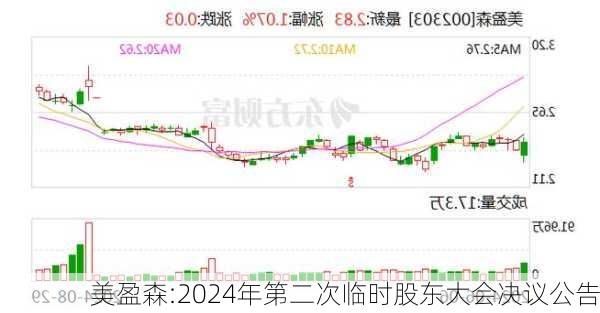 美盈森:2024年第二次临时股东大会决议公告