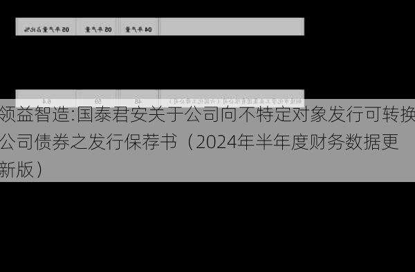 领益智造:国泰君安关于公司向不特定对象发行可转换公司债券之发行保荐书（2024年半年度财务数据更新版）