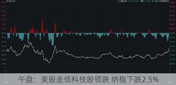 午盘：美股走低科技股领跌 纳指下跌2.5%