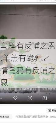 乌鸦有反哺之恩,羊羔有跪乳之情乌鸦有反哺之恩