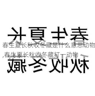 春生夏长秋收冬藏是什么意思动物,春生夏长秋收冬藏打一动物