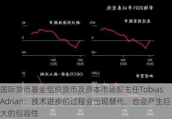 国际货币基金组织货币及资本市场部主任Tobias Adrian：技术进步的过程会出现替代，也会产生巨大的包容性