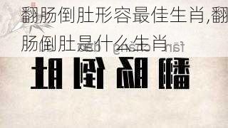 翻肠倒肚形容最佳生肖,翻肠倒肚是什么生肖