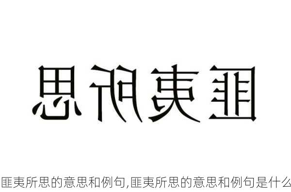 匪夷所思的意思和例句,匪夷所思的意思和例句是什么