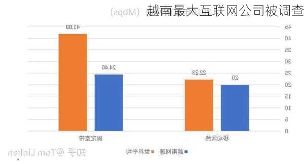 越南最大互联网公司被调查