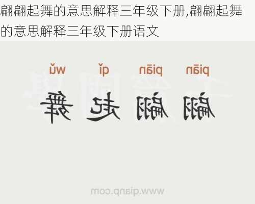 翩翩起舞的意思解释三年级下册,翩翩起舞的意思解释三年级下册语文