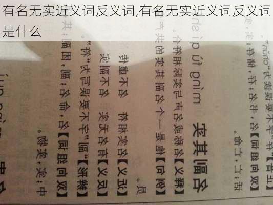 有名无实近义词反义词,有名无实近义词反义词是什么