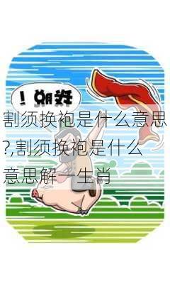 割须换袍是什么意思?,割须换袍是什么意思解一生肖