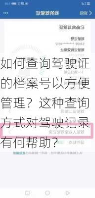 如何查询驾驶证的档案号以方便管理？这种查询方式对驾驶记录有何帮助？