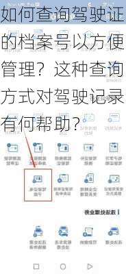 如何查询驾驶证的档案号以方便管理？这种查询方式对驾驶记录有何帮助？