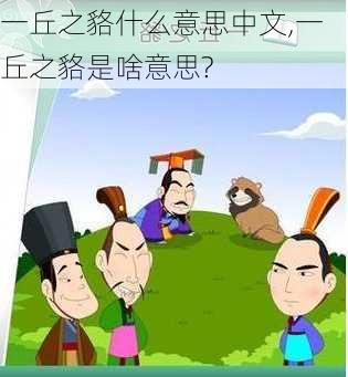 一丘之貉什么意思中文,一丘之貉是啥意思?