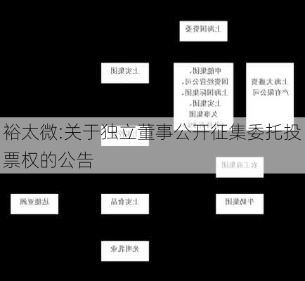 裕太微:关于独立董事公开征集委托投票权的公告