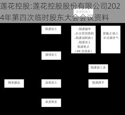 莲花控股:莲花控股股份有限公司2024年第四次临时股东大会会议资料