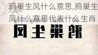 鸦巢生凤什么意思,鸦巢生凤什么意思代表什么生肖