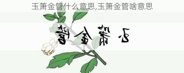 玉箫金管什么意思,玉箫金管啥意思