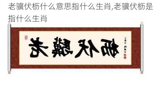 老骥伏枥什么意思指什么生肖,老骥伏枥是指什么生肖