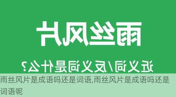 雨丝风片是成语吗还是词语,雨丝风片是成语吗还是词语呢