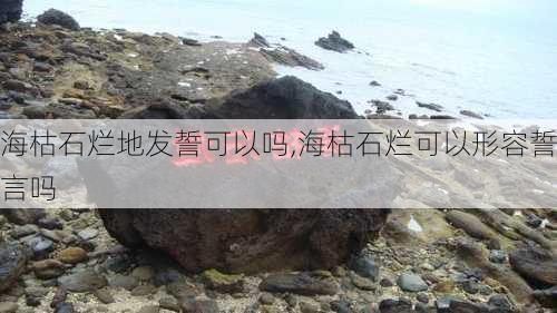 海枯石烂地发誓可以吗,海枯石烂可以形容誓言吗