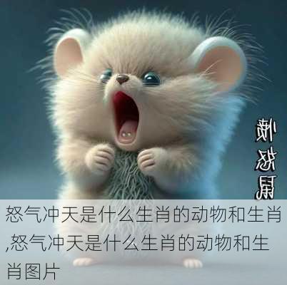 怒气冲天是什么生肖的动物和生肖,怒气冲天是什么生肖的动物和生肖图片