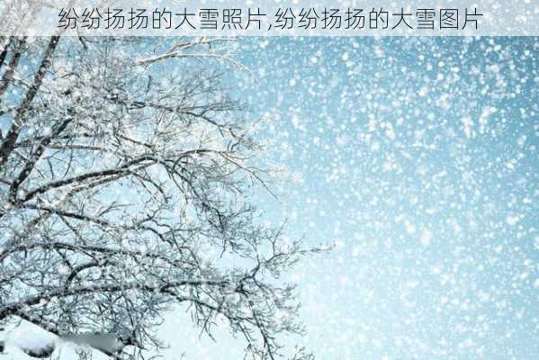 纷纷扬扬的大雪照片,纷纷扬扬的大雪图片