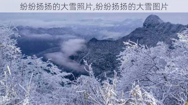 纷纷扬扬的大雪照片,纷纷扬扬的大雪图片