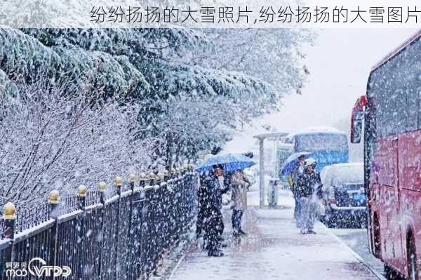 纷纷扬扬的大雪照片,纷纷扬扬的大雪图片