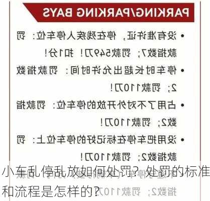 小车乱停乱放如何处罚？处罚的标准和流程是怎样的？