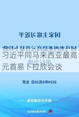 习近平同马来西亚最高元首易卜拉欣会谈