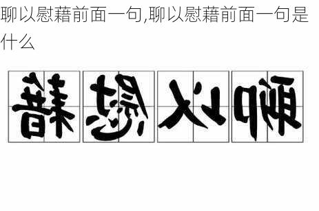 聊以慰藉前面一句,聊以慰藉前面一句是什么