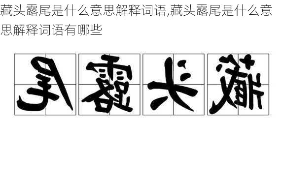 藏头露尾是什么意思解释词语,藏头露尾是什么意思解释词语有哪些