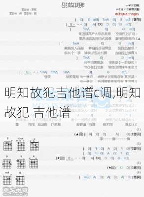 明知故犯吉他谱c调,明知故犯 吉他谱