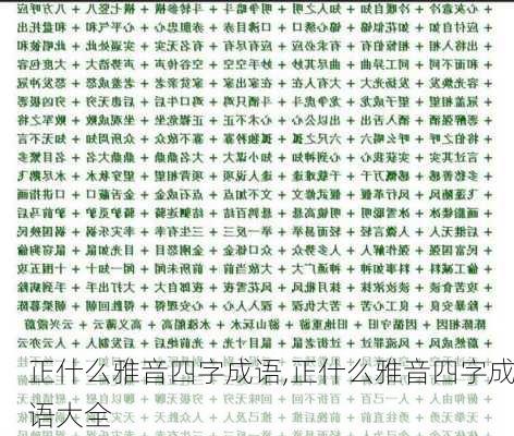 正什么雅音四字成语,正什么雅音四字成语大全