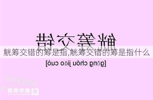 觥筹交错的筹是指,觥筹交错的筹是指什么