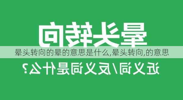 晕头转向的晕的意思是什么,晕头转向,的意思