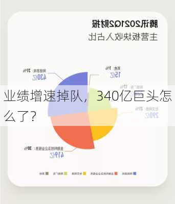 业绩增速掉队，340亿巨头怎么了？