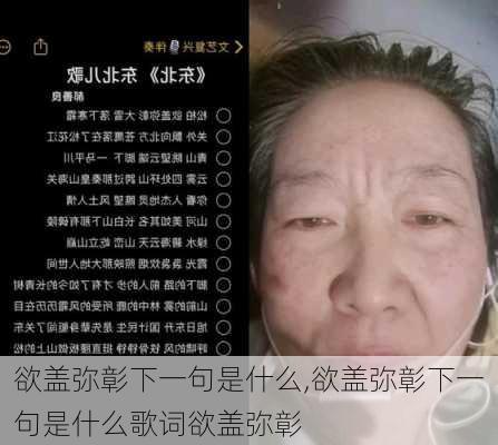 欲盖弥彰下一句是什么,欲盖弥彰下一句是什么歌词欲盖弥彰