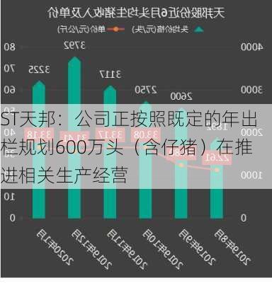 ST天邦：公司正按照既定的年出栏规划600万头（含仔猪）在推进相关生产经营