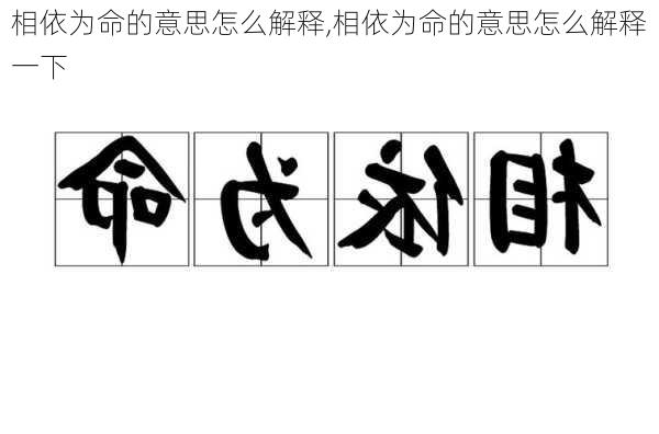 相依为命的意思怎么解释,相依为命的意思怎么解释一下