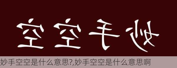 妙手空空是什么意思?,妙手空空是什么意思啊