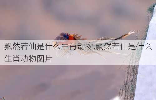 飘然若仙是什么生肖动物,飘然若仙是什么生肖动物图片