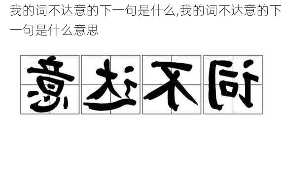 我的词不达意的下一句是什么,我的词不达意的下一句是什么意思