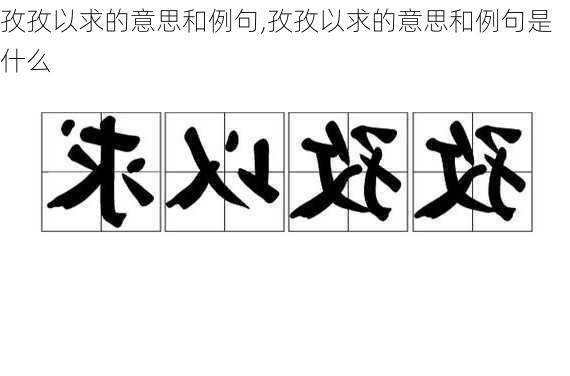 孜孜以求的意思和例句,孜孜以求的意思和例句是什么